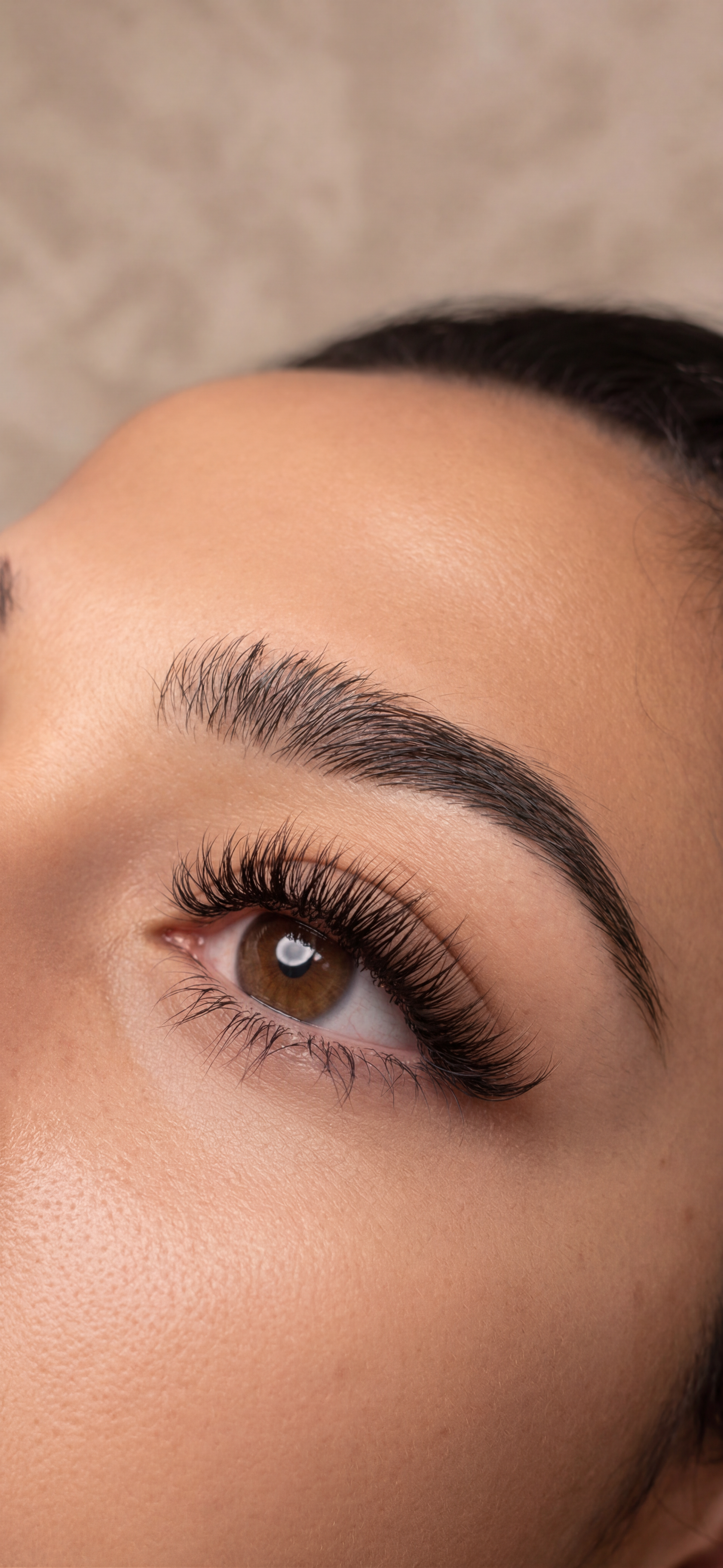 Wimpern & Augenbrauen